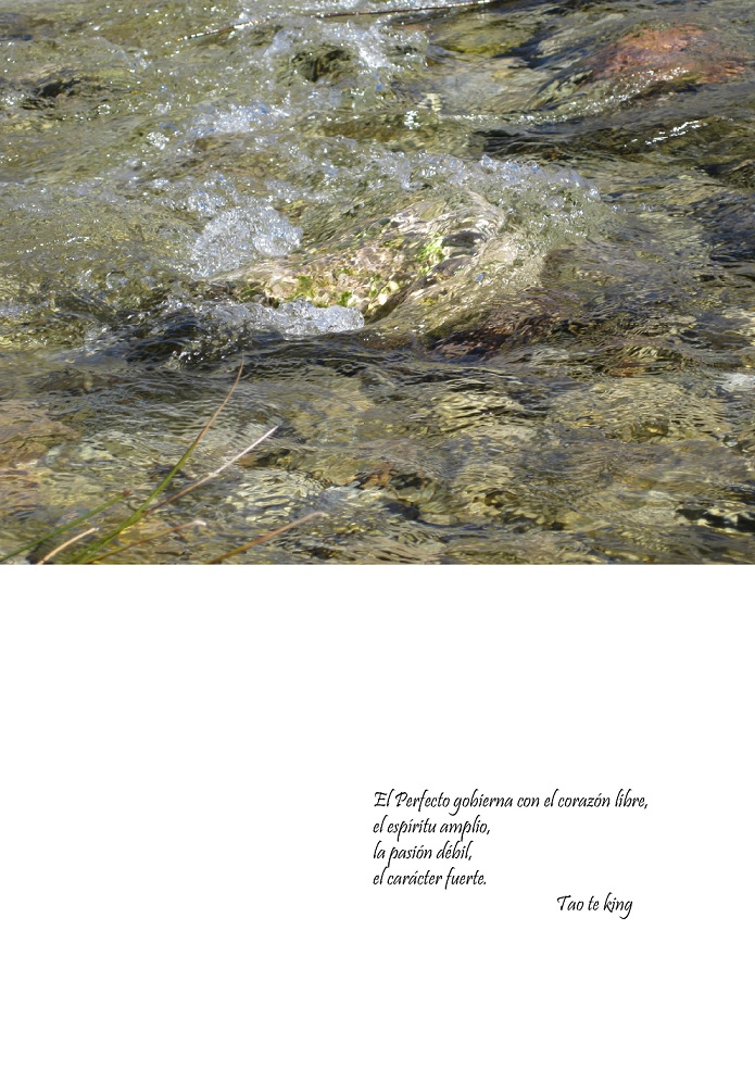 contraportada