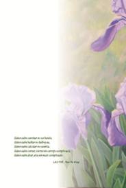 contraportada6