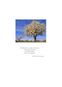 contraportada